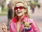 From Tinkerbell to Taco Bell: A Chihuahua History| Britney Spears, Paris Hilton