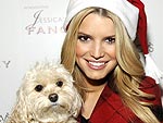 Celeb Sightings: December 8, 2008