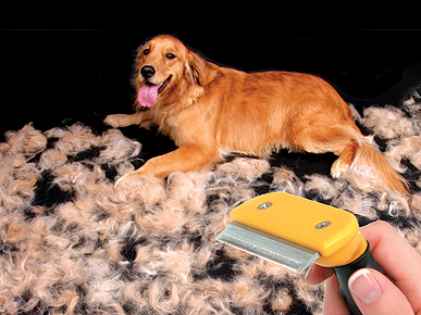 The FURminator Terminates Furballs Around the House