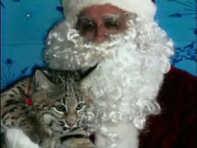Pet Stories Around the Web
