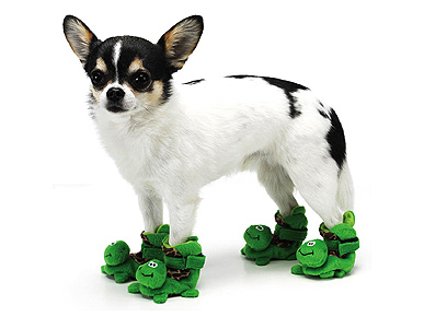 turtle toes shoes