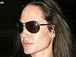 Star Tracks - Wednesday, March 5, 2008 | Angelina Jolie