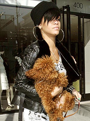 CREATURE COMFORTS photo | Rihanna
