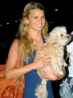 PRECIOUS CARGO photo | Jessica Simpson