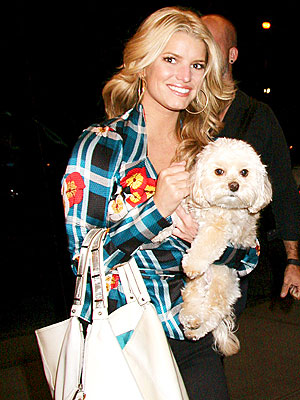 BEST IN SHOW photo | Jessica Simpson