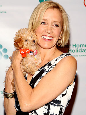 ... 2008 - ANIMAL ATTRACTION - ...