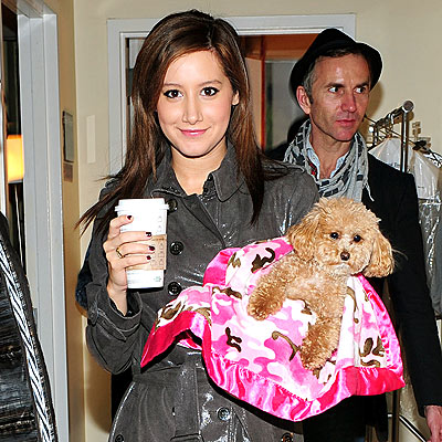 HANDLER WITH CARE photo | Ashley Tisdale