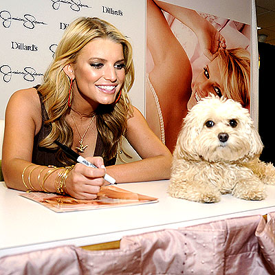 'FANCY' LADIES photo | Jessica Simpson