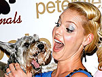 Star Tracks - Thursday, October 23, 2008 | Katherine Heigl