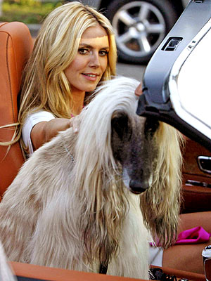 PRIMP MY RIDE photo | Heidi Klum