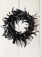 Star Style for the Home