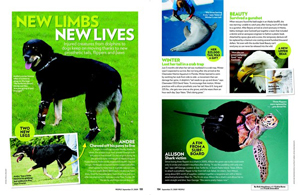 New Limbs New Lives