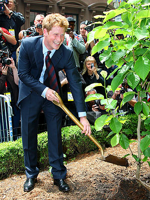 prince harry gq magazine. prince harry gq