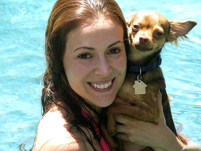 ALYSSA MILANO photo | Alyssa Milano