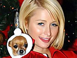 Stars Deck the Halls! | Paris Hilton