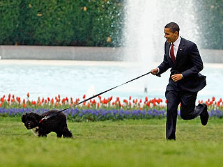 michelle obama photo shoots
