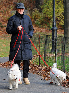 Glenn Close Talks Puppies and Prisoners
