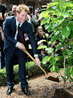 New Yorkers Agree: Prince Harry Has His Mother's Charm