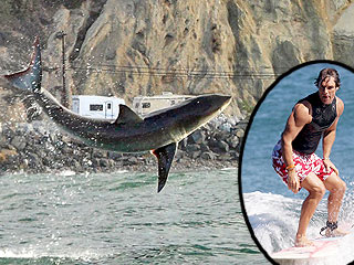 Warning: Shark Sighting at Celebrity Surf Beach