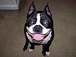 Your Cutest Twitter Pics!