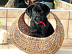 This Week's Cutest Twitter Pics