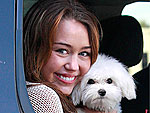 Stars & Their Pets: Cutest Cuddles of 2009!