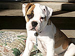 November's Cutest of the Cute