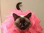 This Week's Cutest Twitter Pics!