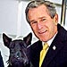 Presidential Pets