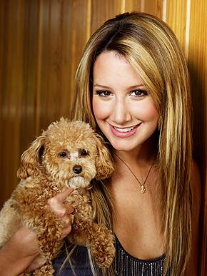 Ashley Tisdale Puppy