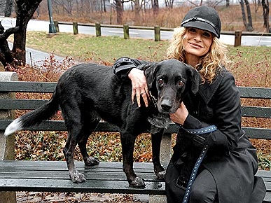 Quick Hits: Dog Disease Linked to Lou Gerhigs, Bear Cubs Taxied to Rescue Facility