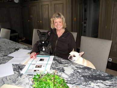 Martha Stewart's Dogs Start a Blog