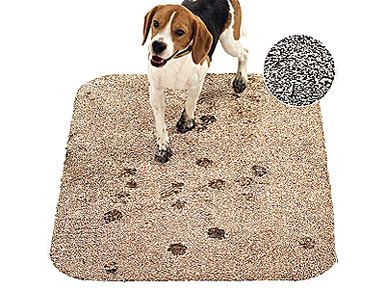 Check Your Muddy Paws at the Door