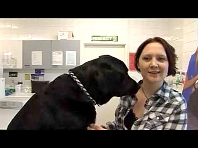 Lab That Shed 20 Pounds is Crowned 'Biggest Loser'