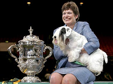 American Sealyham Terrier Wins Best in Show at Crufts