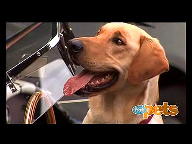 Behind the Scenes: PEOPLE's Exclusive Photo Shoot With Animal Actors!