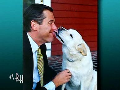 Brian Williams Talks About Beloved Older Pooch