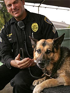 Police Dog Bounces Back After Stabbing