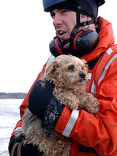 Dogs and Cats Rescued from North Dakota Floods