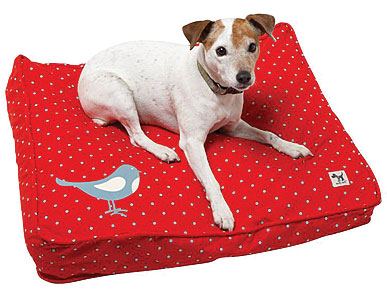 An Old Dog Bed Learns New Tricks with Molly Mutt Dog Duvets