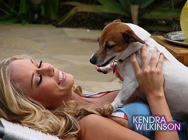 Celeb Pet Alert: Kendra Wilkinson Shares Her 'Babies'