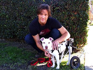 Quick Hits: Dog Keeps Oregon Planes Safe from Birds; Plus: Animals Just Wanna Have Fun!