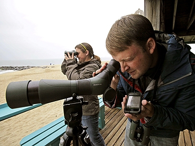Bird-Watchers Migrate to the World Series of Birding