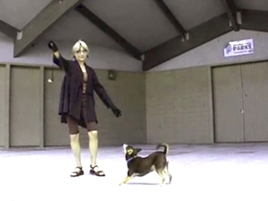 Friday's Funny Video: A Piggyback-Riding Dog!