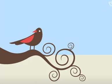 test embed