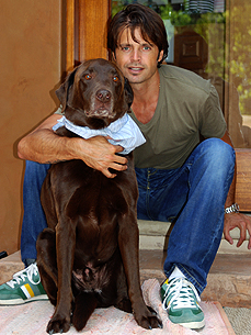 Brooke Burke and David Charvet Reunited with Their Missing Pup