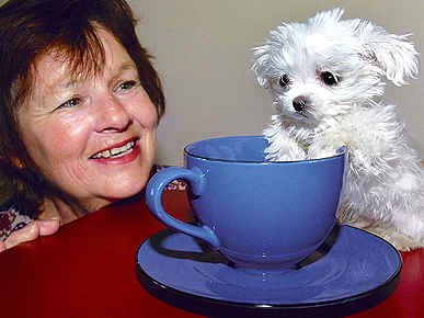 Amazing Photo: A Pup No Bigger Than a Teacup!