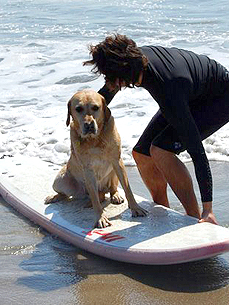REVIEW: Dog Surfing? As Ruff as It Sounds!