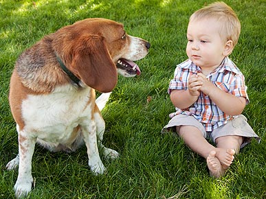 Study: Babies Can Best Understand Barking Dogs