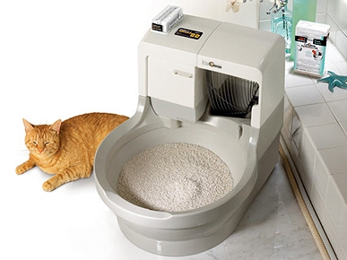 The Water Bowl: Tiger On the Loose in Vegas; Plus, Omaha Zoo Throws a Baby Shower!